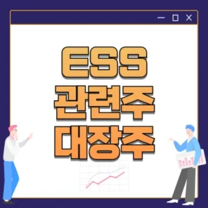 Read more about the article ess 관련주 대장주 총정리