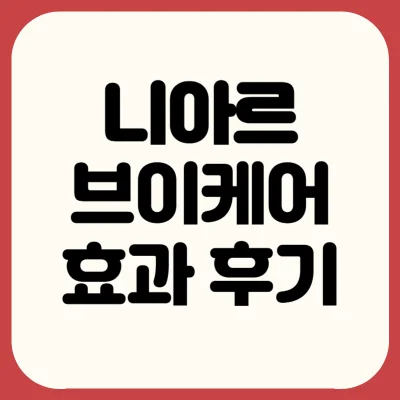 니아르-브이케어-후기