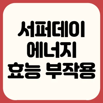 서퍼데이-에너지-후기