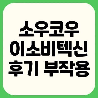 소우코우-이소비텍신-내돈내산-후기