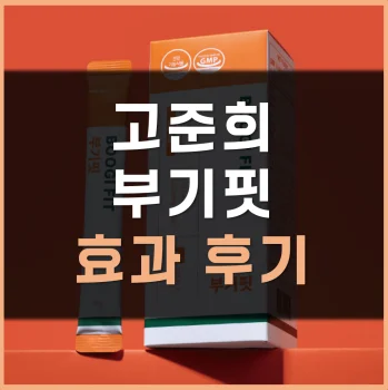 고준희-부기핏-후기