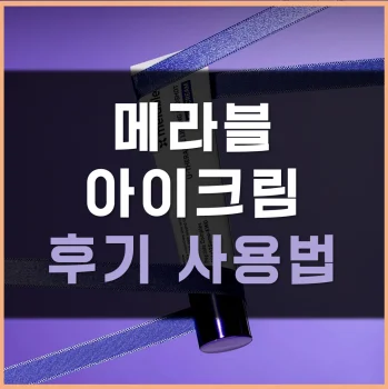 Read more about the article 메라블 아이크림 후기 사용법 정리