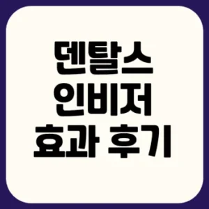 Read more about the article 덴탈스 인비저 후기 사용법 정리