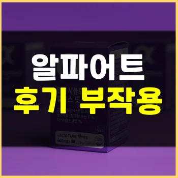 알파어트-내돈내산-후기