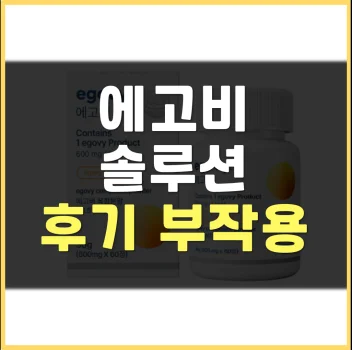 에고비솔루션-후기
