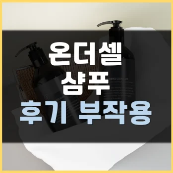 Read more about the article 온더셀 샴푸 후기 부작용 효과