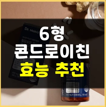철갑상어-콘드로이친6형-추천