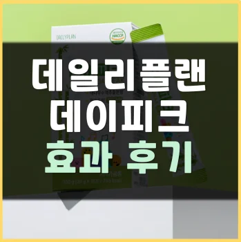 데일리플랜-데이피크-후기