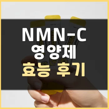 Read more about the article 헤이데일리 NMN-C 효능 부작용 후기