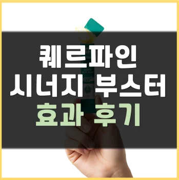 Read more about the article 퀘르파인 시너지 부스터 효과 부작용 후기