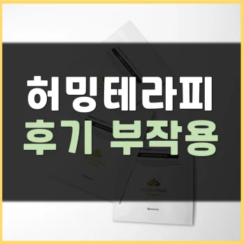Read more about the article 허밍테라피 후기 효과 부작용 사용법
