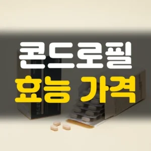 Read more about the article 콘드로필 효능과 가격, 직접 써본 솔직한 정리