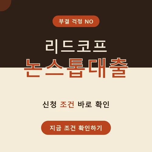 리드코프 논스톱대출-부결