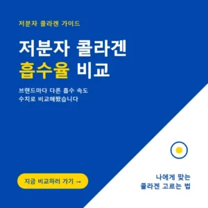 Read more about the article 저분자 콜라겐 흡수율 비교, 나에게 맞는 콜라겐 고르는 법