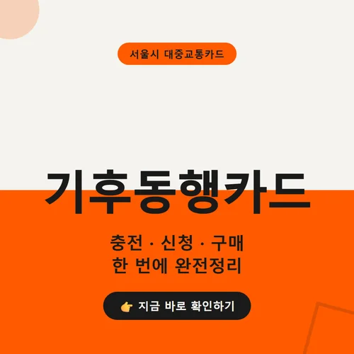 Read more about the article 기후동행카드 종료일정 환불방법 K패스 전환 지금 할 일
