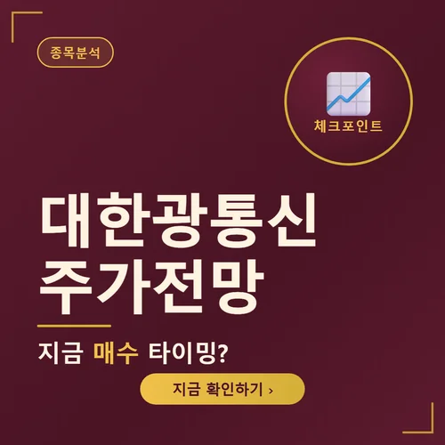 대한광통신 주가전망