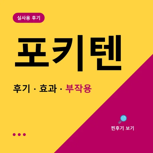 포키텐-후기