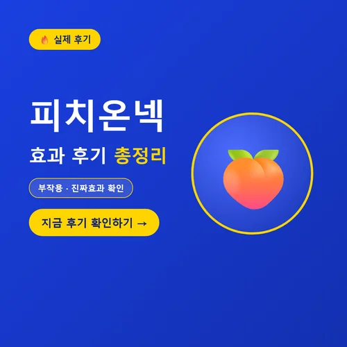 피치온넥-후기