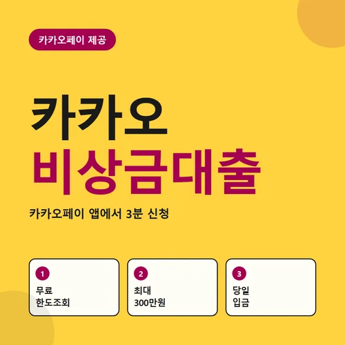 카카오 비상금대출
