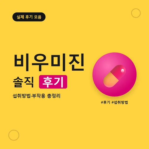 비우미진-후기