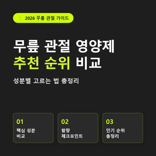 무릎 관절 영양제 추천 순위 비교, 성분별 고르는 법 총정리
