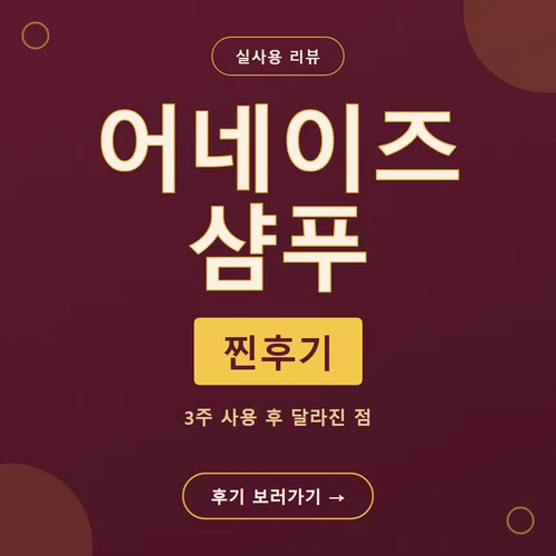 어네이즈 샴푸-후기