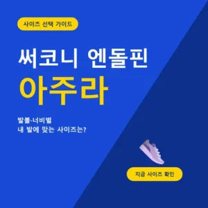 Read more about the article 써코니 엔돌핀 아주라 후기, 사이즈부터 가격까지 데일리 러닝화 총정리