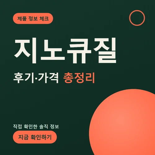 지노큐질-후기