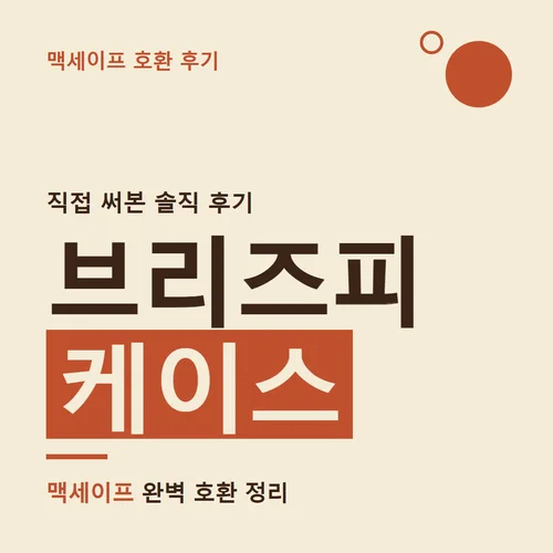 브리즈피 케이스-후기