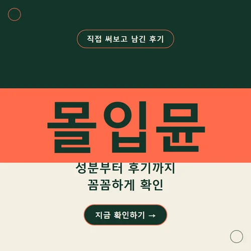 몰입뮨-후기