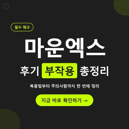 마운엑스-후기