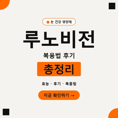 루노비전-후기