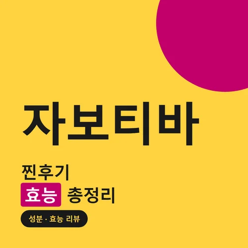 자보티바-후기
