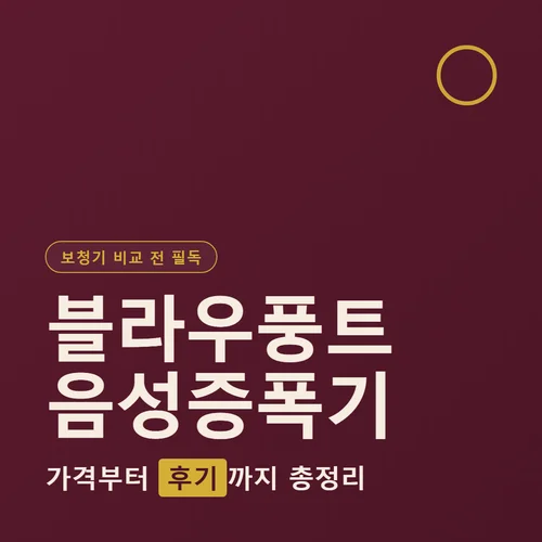 Read more about the article 블라우풍트 음성증폭기 후기, 보청기와 가격 차이 비교해봤어요