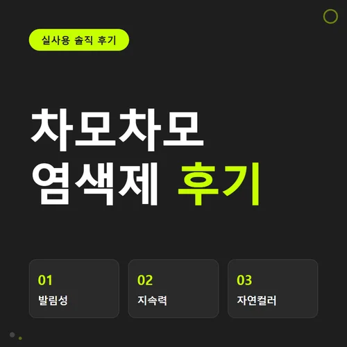 차모차모 염색제-후기
