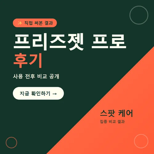 프리즈젯 프로-후기